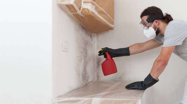 Professional Bathroom Mold Removal technician working in Clark, NJ