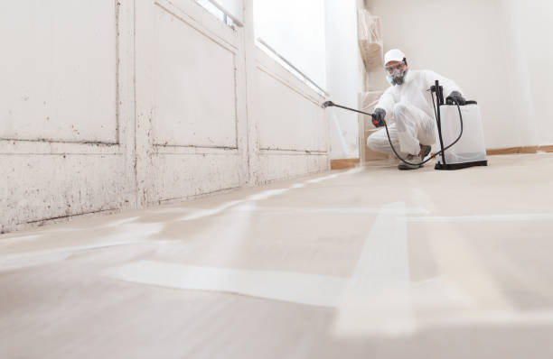 24/7 Emergency Bathroom Mold Removal experts in Clark, NJ